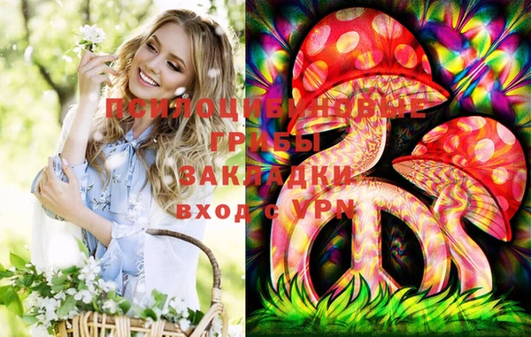 мдпв Абдулино