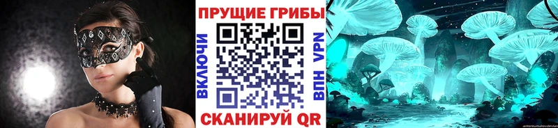 Псилоцибиновые грибы мицелий Тихорецк