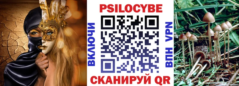 Псилоцибиновые грибы GOLDEN TEACHER  Тихорецк 